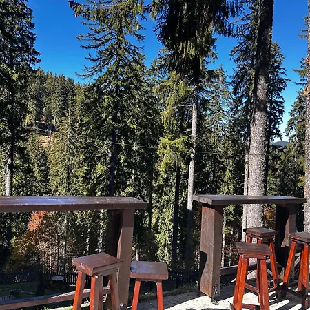 Apartament Point O12